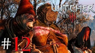 The Witcher 3  Les Moires 12 [upl. by Ahsyas]