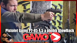 Pistolet à plombs Gamo PT 85 45 mm un Blowback qui tabasse [upl. by Erialc]