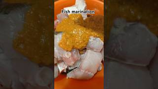 Fish marination💯💯💯💫🫶💕foryou fishfry fishvideo spicyfishfryrecipe loveallahﷻ [upl. by Reldnahc]