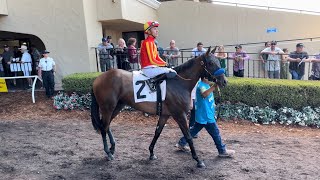 Bob Baffert Trainee Wins on Debut at Del Mar [upl. by Leba697]