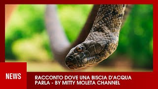 RACCONTO DOVE UNA BISCIA DACQUA PARLA [upl. by Inanuah]