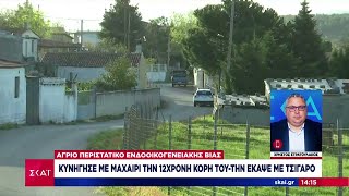 Eνδοοικογενειακή βία στο ΑγρίνιοΚυνήγησε με μαχαίρι την 12χρονη κόρη του και την έκαψε με τσιγάρο [upl. by Harleigh698]