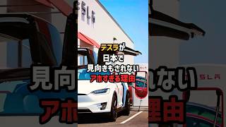 ㊗120万再生！テスラが日本で売れない理由 海外の反応 日本 ev [upl. by Renruojos]