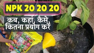 NPK 20 20 20 fertilizer uses in Hindi  NPK 2020 20 क्या है  कब कहां कैसे कितना प्रयोग करें [upl. by Akenal452]