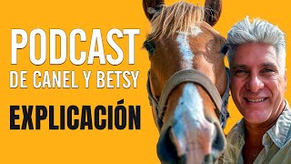 DÍAZ CANEL PODCAST  Te lo traduzco para que lo entiendas [upl. by Torbart]