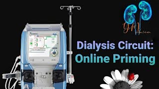 Dialysis Priming Gambro Artis [upl. by Terb]