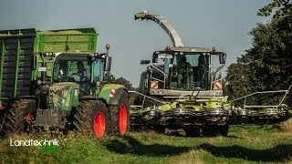 Mais häckseln mit Heitkamp Agrarservice für eine Biogasanlage HD [upl. by Latisha]