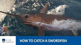 How to catch a swordfish  fishing tip with Paul Worsteling  Club Marine [upl. by Accebber]