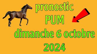 ✅ pronostic PMU  Réunion 1 cours 5  🔥🔥🔥🔥🔥🔥 [upl. by Jb632]