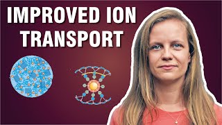 Ion Transport in Battery Electrolytes  Prof Jelena PopovicNeuber [upl. by Aleira792]