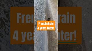 Gravity Fed French drain years later In Action frenchdrain [upl. by Hobey]