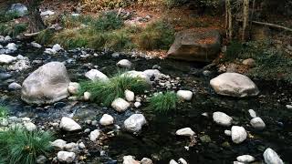 A Celebration of InterDependence Day — Gendo Lucy Xiao 玄道 — Dharma Talk at Tassajara Monastery [upl. by Ttennaj]