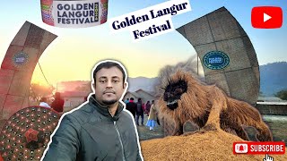 Golden Langur Festival 2024  New Year Assam Festival  New Year Fastival 2024 [upl. by Euqinomad]