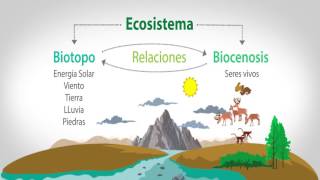 EL BIOTOPO Y LA BIOCENOSIS [upl. by Vivyanne484]