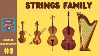 STRINGS FAMILY  INSTRUMENTS OF THE ORCHESTRA  LESSON 3  LEARNING MUSIC HUB  ORCHESTRA [upl. by Anawot843]