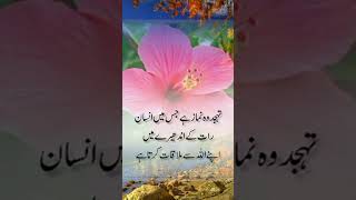 Tohjjd ki namaztohjjd ki namaz ki ahmyytquotes about tohjjd prayer [upl. by Bor]