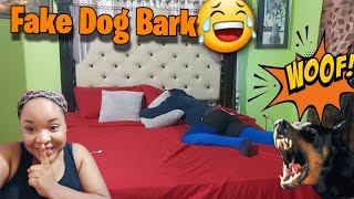 Fake Dog Barking Prank On Boyfriend HILARIOUS REACTION Best Dog Prank  KING AND SHAY [upl. by Anytsyrk]