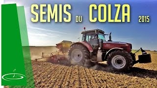 Semis du colza comment je procède pour semer  2015 [upl. by Acirema128]