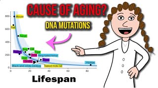 The mutation theory of aging [upl. by Tillion]