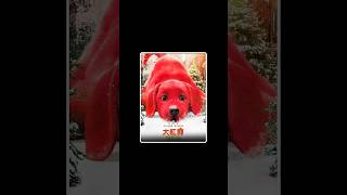 the big red dog full movie Explain in third part। reddog movie shorts [upl. by Dirgis]