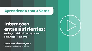 O que é o antagonismo entre nutrientes [upl. by Reyem]