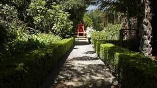 Larnach Castle and Gardens [upl. by Ladonna550]