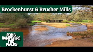 94 Robs Hampshire Pub Walks  Brockenhurst amp Brusher Mills Walk  New Forest National Park [upl. by Bridie816]