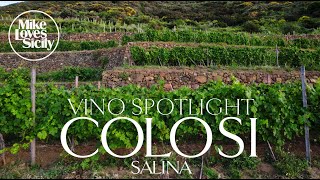 COLOSI WINERY  Vino Spotlight [upl. by Macmillan]