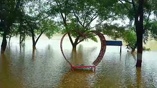 Gomti nodite bonna  গোমতী নদীতে বণ্যা  গোমতী নদী। flood news bonnar khobor [upl. by Carolann845]