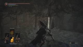 Dark Souls 3 Farming  Farron Keep Elder Ghru [upl. by Abekam22]