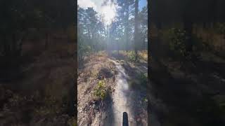 Biking in Wharton state forest [upl. by Huai]