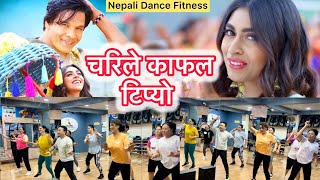 Chari le Kafal  Rajan Raj ShiwakotiMilan NewarBiraj BhattaNikita ChandakNepali Dance Fitness [upl. by Edva]