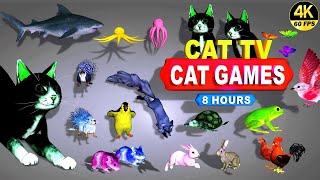 CAT GAMES  THE MOST FAVORITE MOVIE FOR CATS TO WATCH  CAT TV COMPILATION 4K 8 HOURS  🐱 [upl. by Maighdlin]