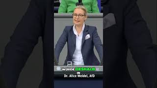 Dr Weidel Deutschland braucht einen mutigen Zukunftsplan [upl. by Teodoor]