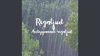 Regn och porlande takränna [upl. by Lledualc49]