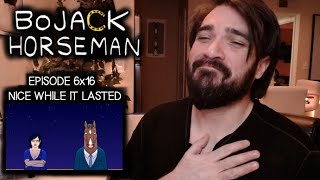 BoJack Horseman 6x16 quotNice While It Lastedquot REACTION amp REVIEW [upl. by Engenia]