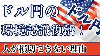 【FX ドル円分析】復活！ドル円の環境認識動画解説を再開しました 人はなぜ損切が下手なのか？克服方法などを解説しました。 ドル円 FX FXトレード テクニカル分析 [upl. by Lraep218]