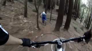 UCSC MTB Freeride Trail Santa Cruz [upl. by Charles791]