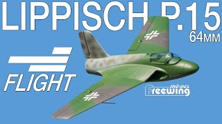 Revisiting the Freewing Lippisch P15 64mm EDF Jet  Motion RC Flight [upl. by Ahusoj]