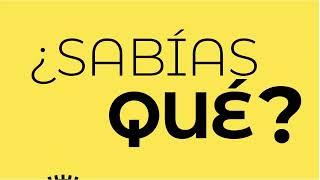 ¿Sabías que nuestro pueblo solo tiene 216km cuadrados [upl. by Leonsis]