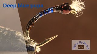 How to Lake Fly Fish Chironomid and Balance Leech Flies with Rexfly [upl. by Ailec]