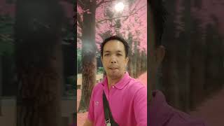 ESTANCIA MALL news trendingshorts song music buhaydriver [upl. by Scuram979]