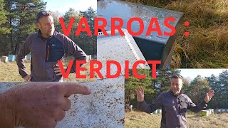 Saison 3 Épisode 35 Verdict sur mes varroas après traitement [upl. by Moshe228]