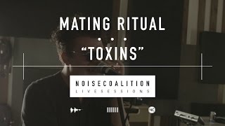 Mating Ritual  Toxins Noise Coalition Live Sessions [upl. by Seaden956]