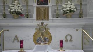 ADORACIÓN EUCARÍSTICA  EUCHARISTIC ADORATION [upl. by Weiner]