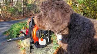 Echo backpack leaf blower PB755ST  bogs down  high throttle adjustment [upl. by Nomled242]