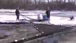 Gary Engberg Fishing Reports Lake Wingra Rough Fish Netting [upl. by Einiffit726]