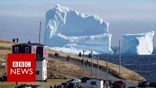 Huge iceberg looms over Canadas Newfoundland coast  BBC News [upl. by Baron746]