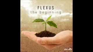 Flexus  The Beginning [upl. by Farrington]