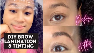 At Home Brow Lamination and Tinting  Before amp After Eyebrow Lamination DIY [upl. by Ettenahc]